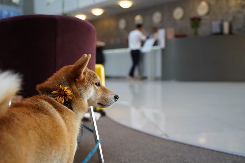 Отель "Omega Sirius" / "Омега Сириус"